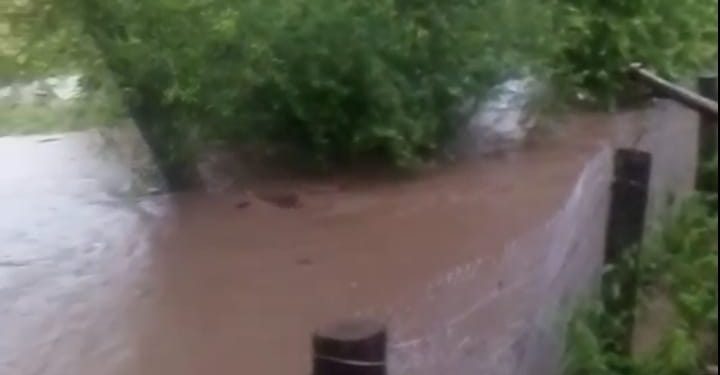 Людське майно плаває у воді: жахливі наслідки підтоплення в Підгаєцькій громаді