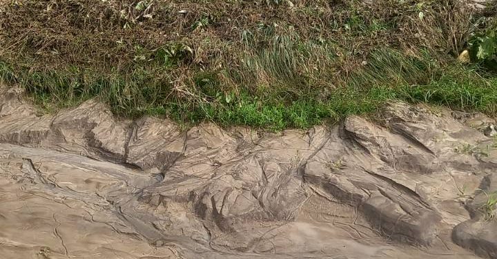 Проливні дощі наробили біди жителям сіл на Монастирищині