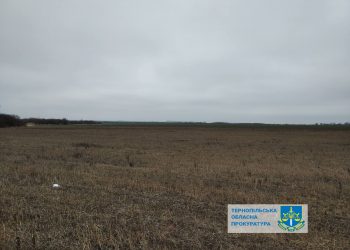 Суд конфіскував у росіянки земельну ділянку у Золотопотіцькій громаді