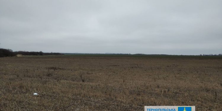 Суд конфіскував у росіянки земельну ділянку у Золотопотіцькій громаді