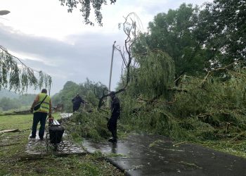 Ураган пронісся вулицями Заліщиків