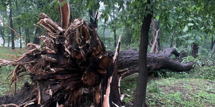 Ураган пронісся вулицями Заліщиків