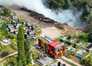 Пожежа виникла неподалік Микулинецького кладовища в Тернополі