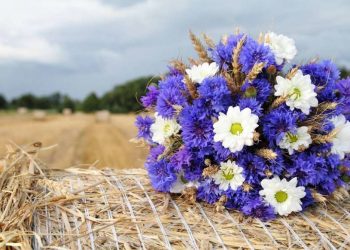 Якою буде погода на початку тижня на Тернопільщині