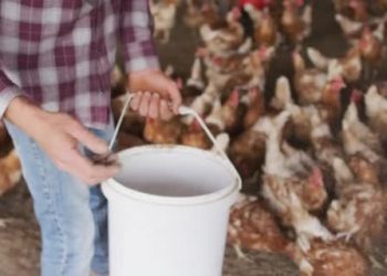 Житель Кременеччини відмовився воювати, бо переживає за город і господарство