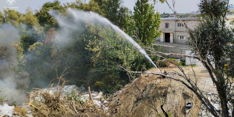 Пожежа виникла неподалік Микулинецького кладовища в Тернополі