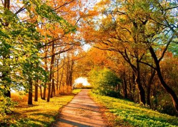 Яким буде початок осені на Тернопіллі