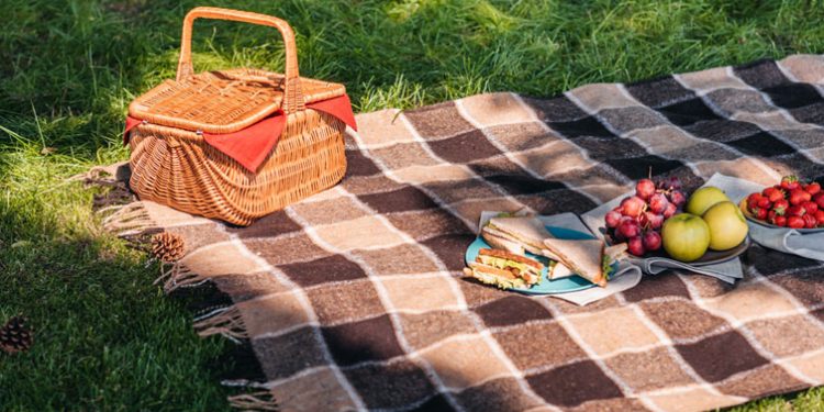 Доброчинний молодіжний пікнік організовують у Вишнівецькій громаді