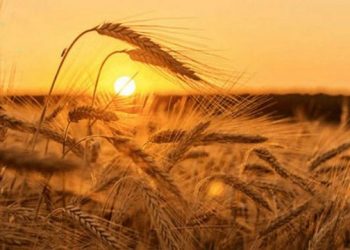 Якою буде погода до кінця робочого тижня на Тернопіллі