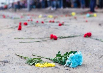 Україна повернула на підконтрольну територію тіла 51 воїна