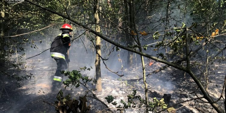 Жінка отримала смертельні опіки в лісовій пожежі на Тернопіллі