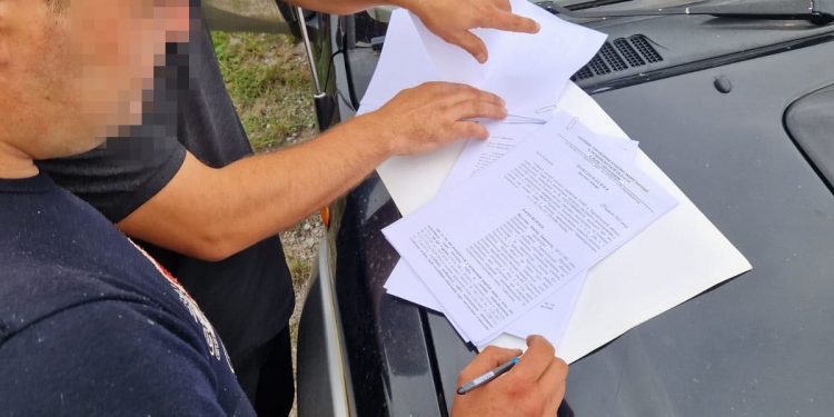 За 900 зрубаних дерев і підроблені документи судитимуть працівника лісгоспу