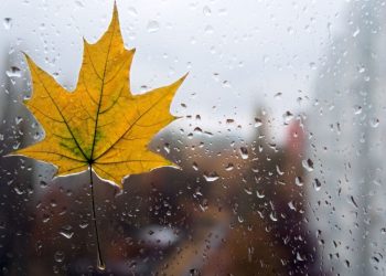 Метеорологи оприлюднили прогноз погоди у вихідні на Тернопільщині