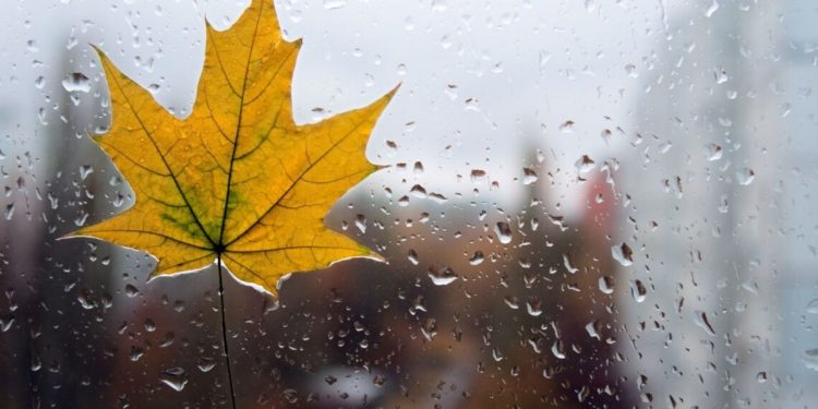 Метеорологи оприлюднили прогноз погоди у вихідні на Тернопільщині