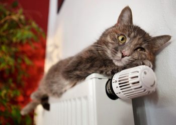 Незмінними залишаться ціни на тепло для тернополян