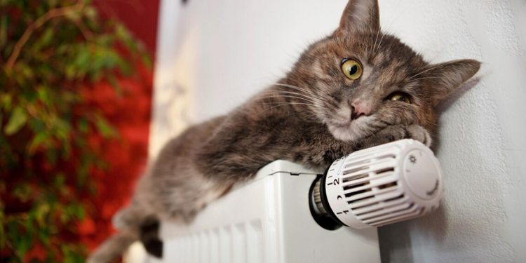 Незмінними залишаться ціни на тепло для тернополян