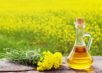 Колишнього директора підприємства підозрюють у продажі чужої ріпакової олії на понад 17 млн грн