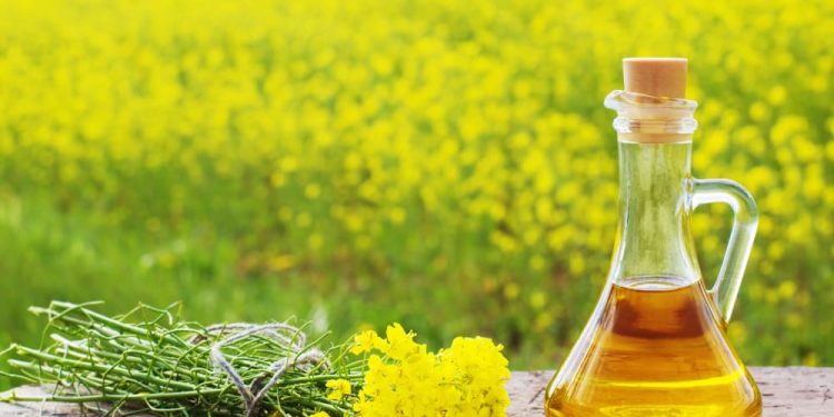 Колишнього директора підприємства підозрюють у продажі чужої ріпакової олії на понад 17 млн грн