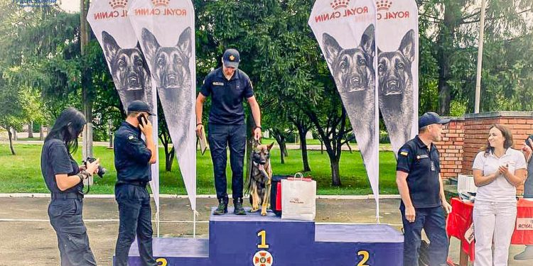 Чим здивувала тернопільська вівчарка Фіона кінологів з інших регіонів