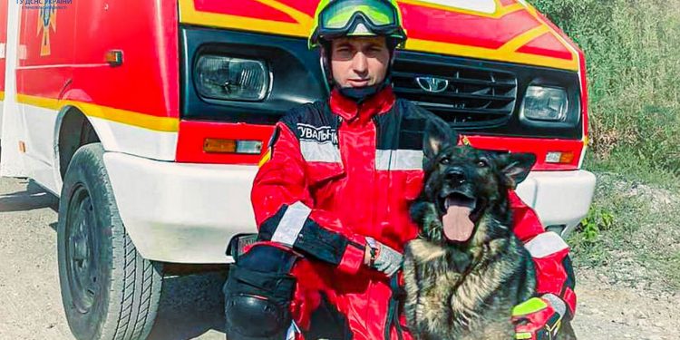 Чим здивувала тернопільська вівчарка Фіона кінологів з інших регіонів