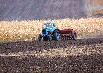 Озимі зернові культури вже посіяли на Тернопільщині