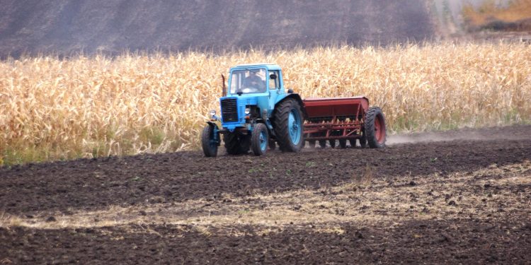 Озимі зернові культури вже посіяли на Тернопільщині