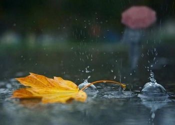 Дощі прогнозують на Тернопільщині