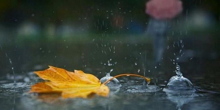 Дощі прогнозують на Тернопільщині