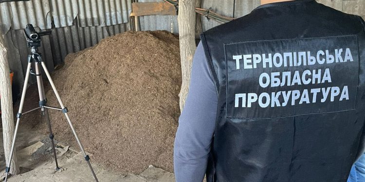 Підпільне виробництво тютюну організував колишній поліціянт на Тернопільщині