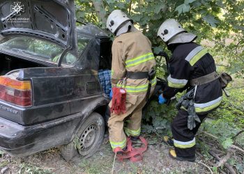 Людину з розтрощеної автівки визволяли рятувальники на Кременеччині