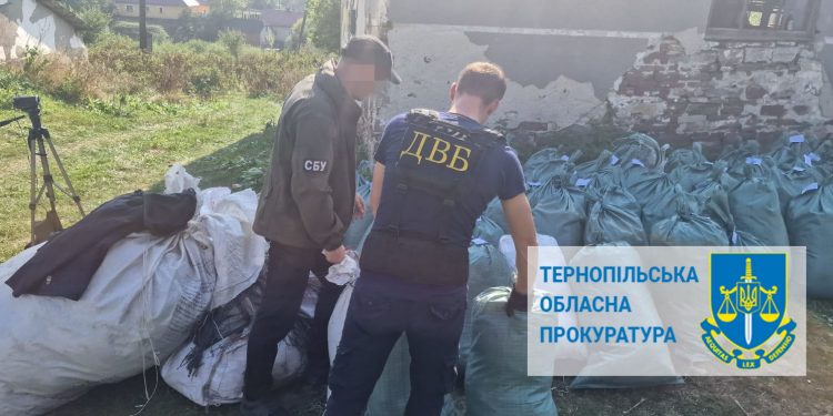 Підпільне виробництво тютюну організував колишній поліціянт на Тернопільщині