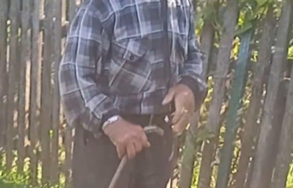 86-річний чоловік зник на Тернопільщині