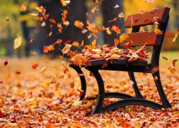 На яку погоду слід очікувати до кінця тижня на Тернопіллі