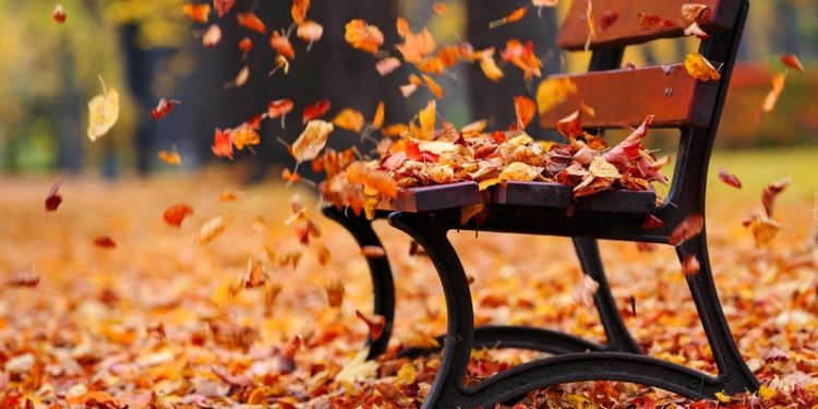 На яку погоду слід очікувати до кінця тижня на Тернопіллі