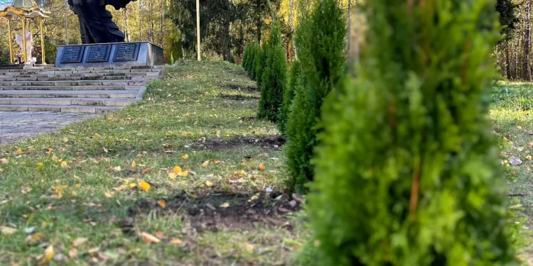 Туї висадили у парку Нацвідродження юні спортсмени з Тернополя