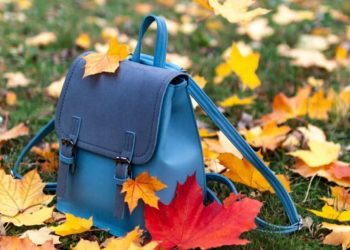 Коли школярі Тернопільщини підуть на осінні канікули