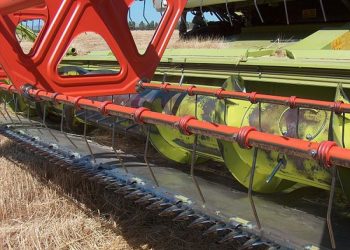 Пів мільйона гривень видурив шахрай у фермера з Тернопільщини