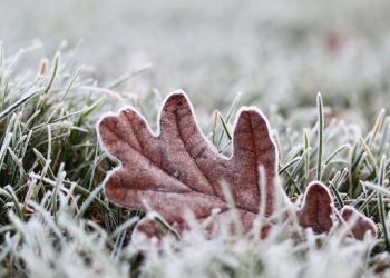 Вдарить мороз: оприлюднили прогноз погоди на Тернопільщині