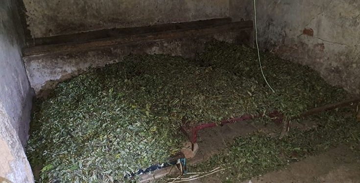 Наркотиків на 5 мільйонів виявили у переселенця на Тернопільщині