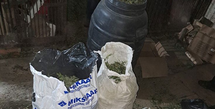 Наркотиків на 5 мільйонів виявили у переселенця на Тернопільщині