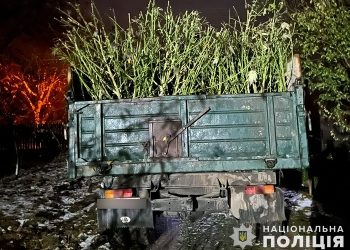 Наркотиків на 5 мільйонів виявили у переселенця на Тернопільщині