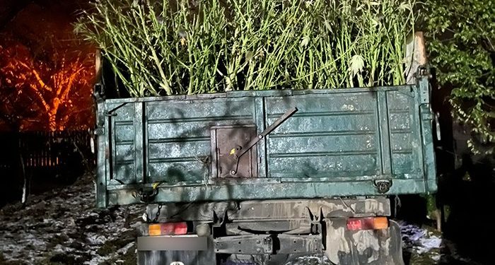 Наркотиків на 5 мільйонів виявили у переселенця на Тернопільщині