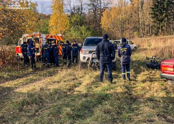 Пішов по гриби та не повернувся: пенсіонера шукають на Кременеччині (ОНОВЛЕНО)