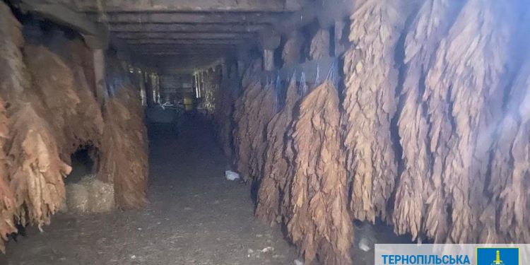 “Бізнесменів”, які підпільно торгували цигарками, викрили на Тернопіллі