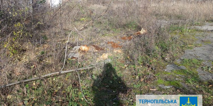 Забруднили землю хімією: неналежне зберігання пестицидів розслідують на Кременеччині