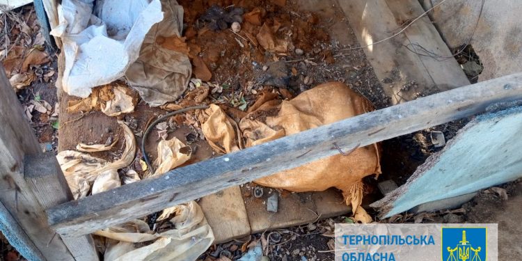 Забруднили землю хімією: неналежне зберігання пестицидів розслідують на Кременеччині