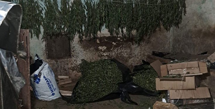 Наркотиків на 5 мільйонів виявили у переселенця на Тернопільщині