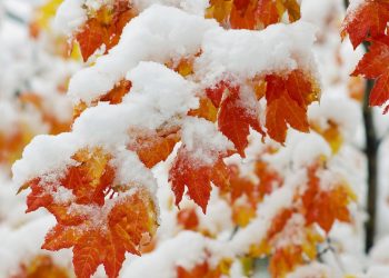 Ожеледицю прогнозують на вихідні у Тернополі