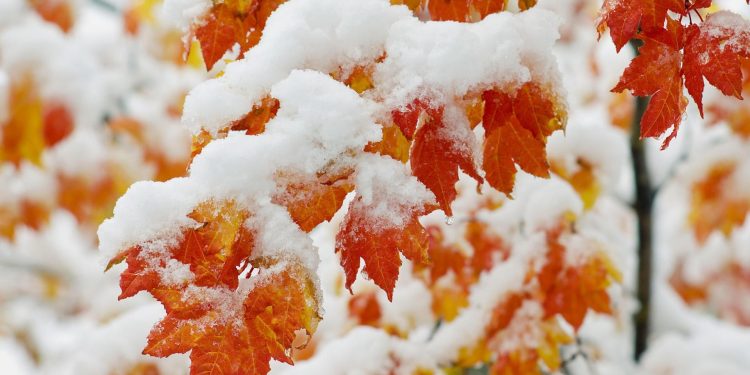 Ожеледицю прогнозують на вихідні у Тернополі