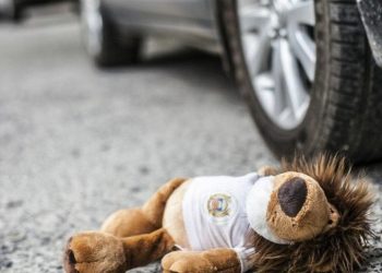 П’яний водій наїхав на дівчинку у Чорткові і втік